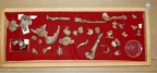 STW 431 Australopithecus africanus associated postcranial material tray