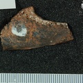 STW 431 Australopithecus africanus bone fragment 3