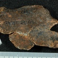 STW 431 Australopithecus africanus oscox fragment 1