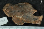 STW 431 Australopithecus africanus oscox fragment 1