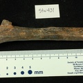 STW 431 Australopithecus africanus right ulna lateral