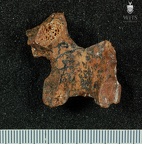 STW 431 Australopithecus africanus vertebra 2
