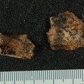 STW 53c Homo cranium fragment 2