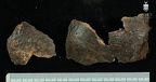 STW 53e Homo cranium fragment 1