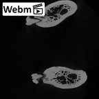 YPM PU11499 Adapis parisiensis mandible highres webm