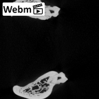 YPM PU11499 Adapis parisiensis mandible overview webm