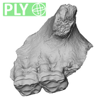 YPM PU11589 Adapis parisiensis left maxilla ply