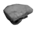 SK 14132 Paranthropus robustus tooth fragment